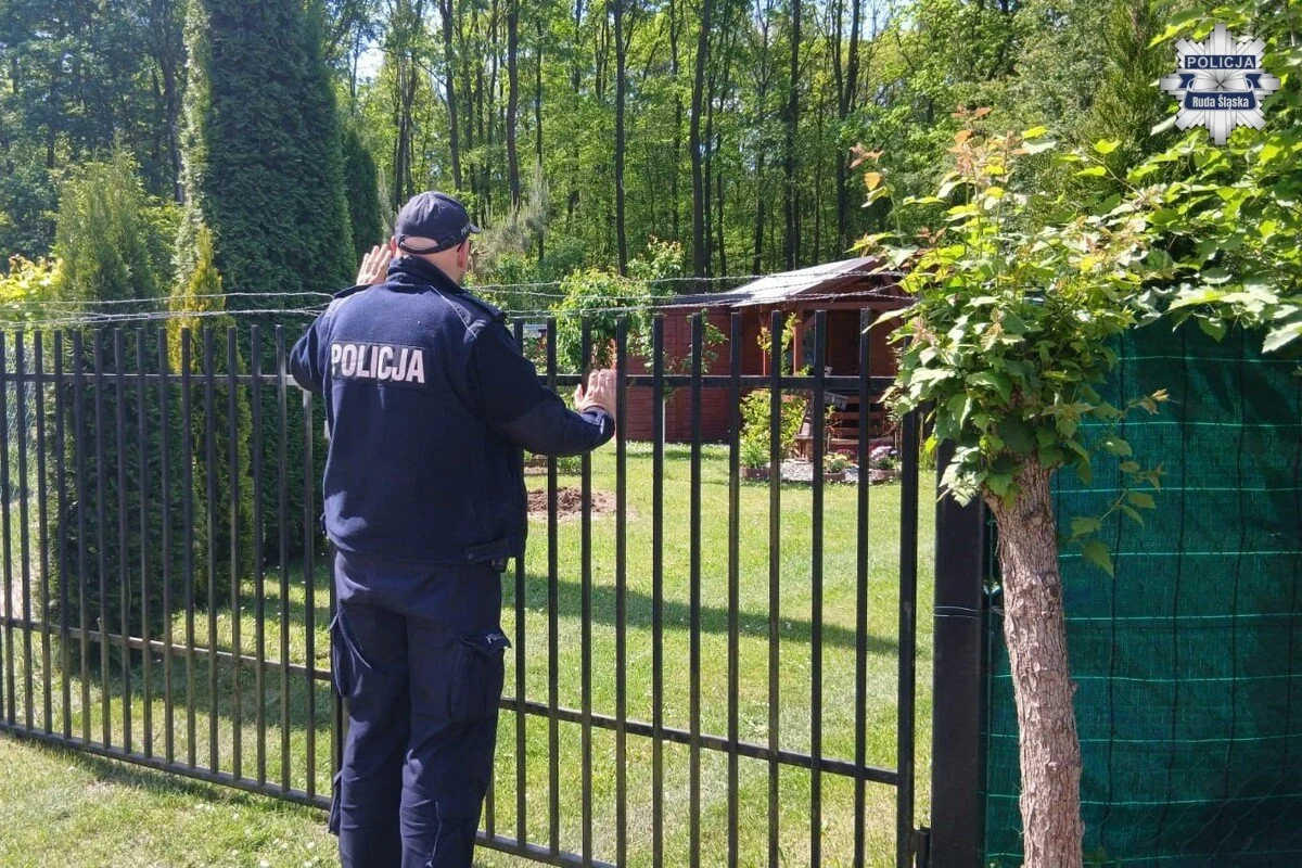 Złodzieje wykorzystują sezon działkowy. Policja radzi, jak zabezpieczyć altanę