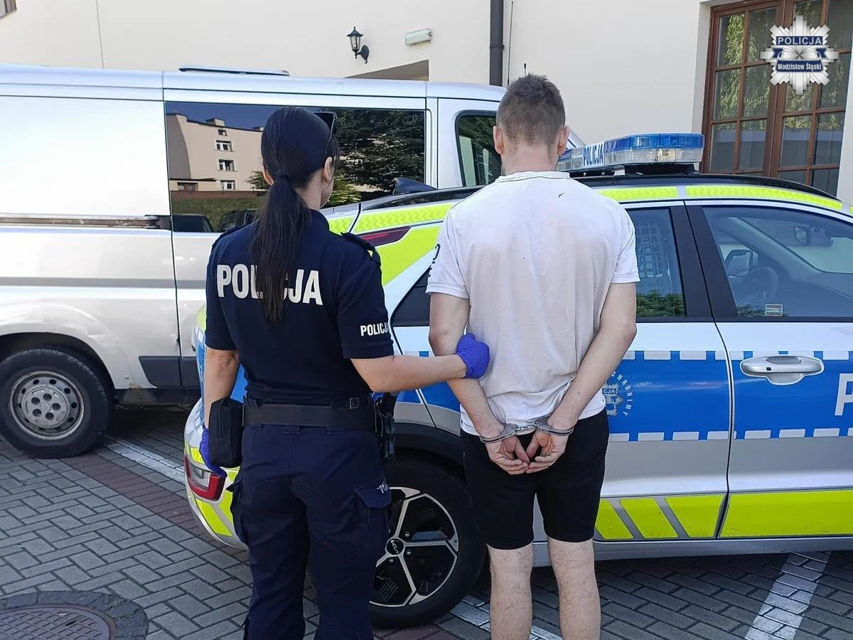 19-latek z Ukrainy deportowany z Polski. Miał na koncie wyroki i zakazy
