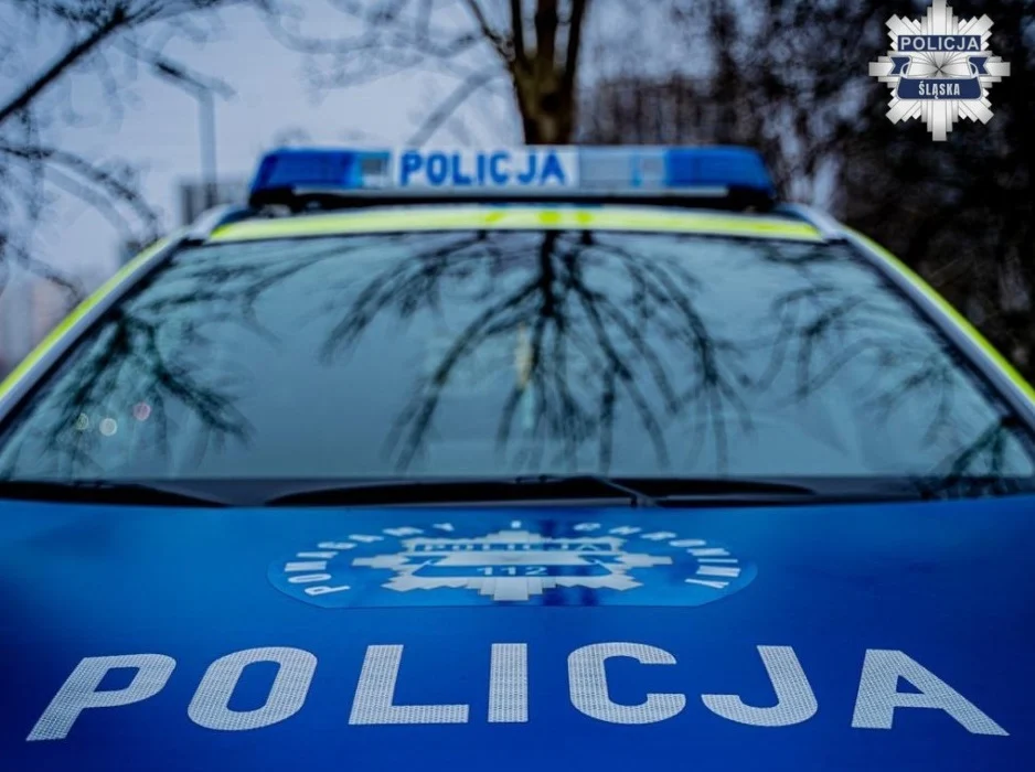 Długi weekend pod lupą policji. Więcej patroli i zakazy dla ciężarówek