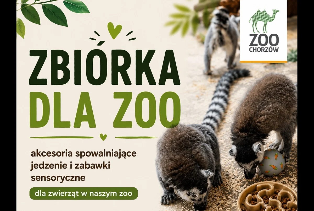 Śląskie Zoo prosi o wsparcie. Rusza czerwcowa zbiórka dla zwierząt