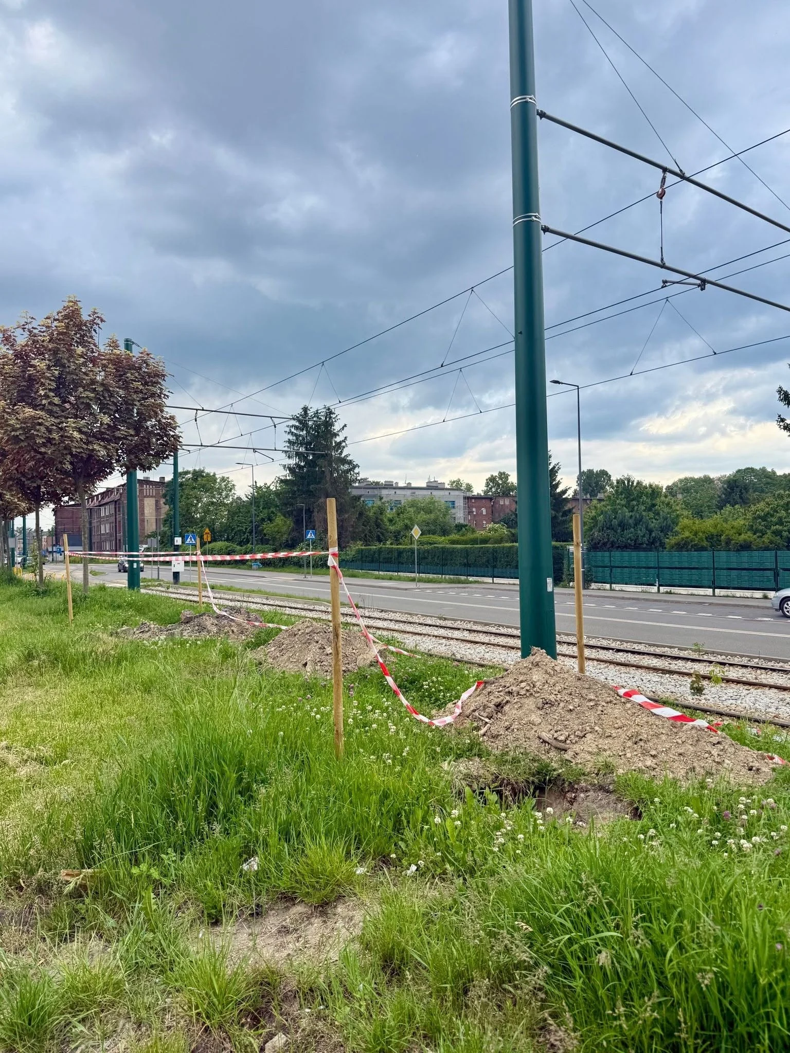 Świętochłowice będą bardziej zielone. Miasto posadzi 160 nowych drzew / fot. UM Świętochłowice-1
