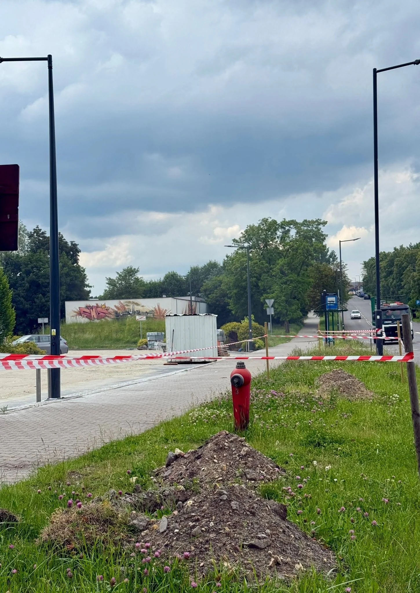 Świętochłowice będą bardziej zielone. Miasto posadzi 160 nowych drzew / fot. UM Świętochłowice