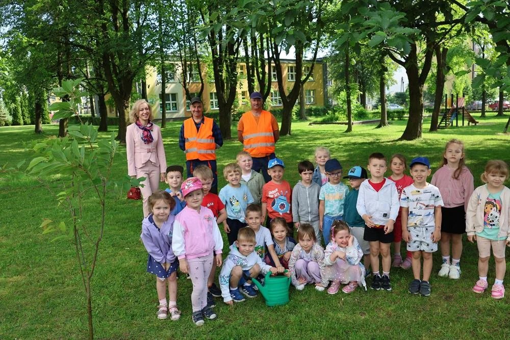 Najmłodsi piekarzanie sadzą drzewa. Zielona akcja dotarła do przedszkola im. Jana Brzechwy