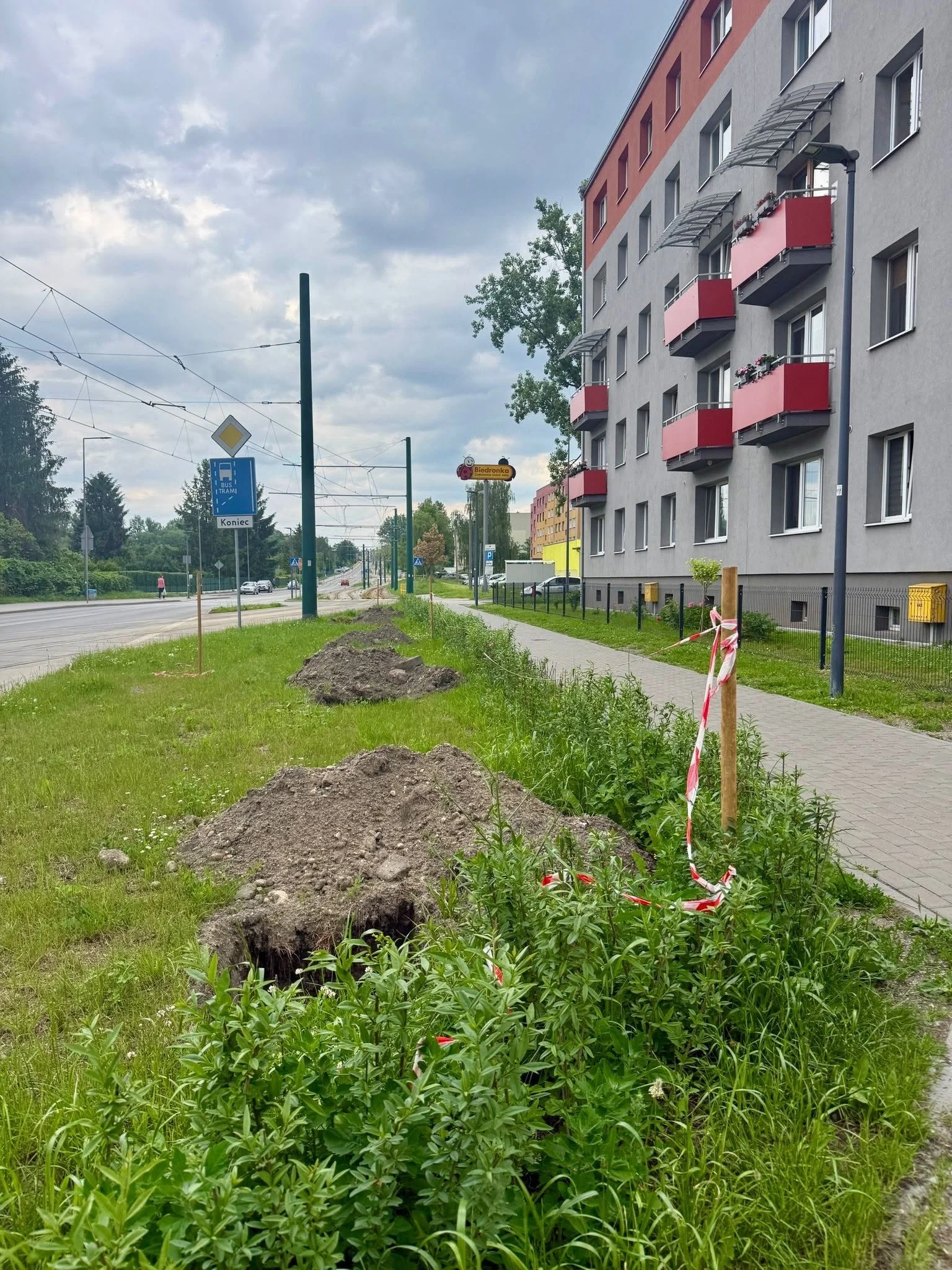 Świętochłowice będą bardziej zielone. Miasto posadzi 160 nowych drzew / fot. UM Świętochłowice