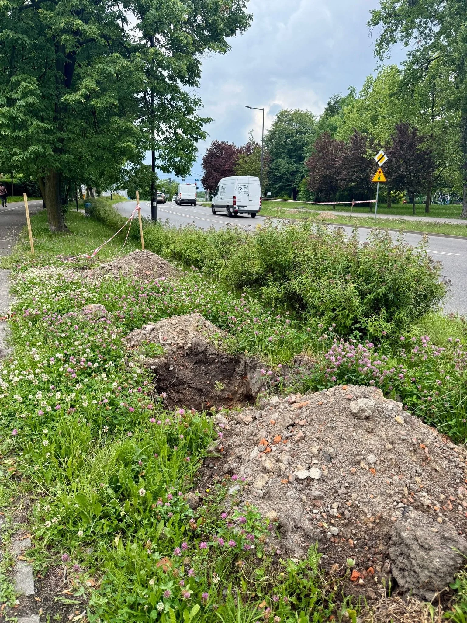 Świętochłowice będą bardziej zielone. Miasto posadzi 160 nowych drzew / fot. UM Świętochłowice