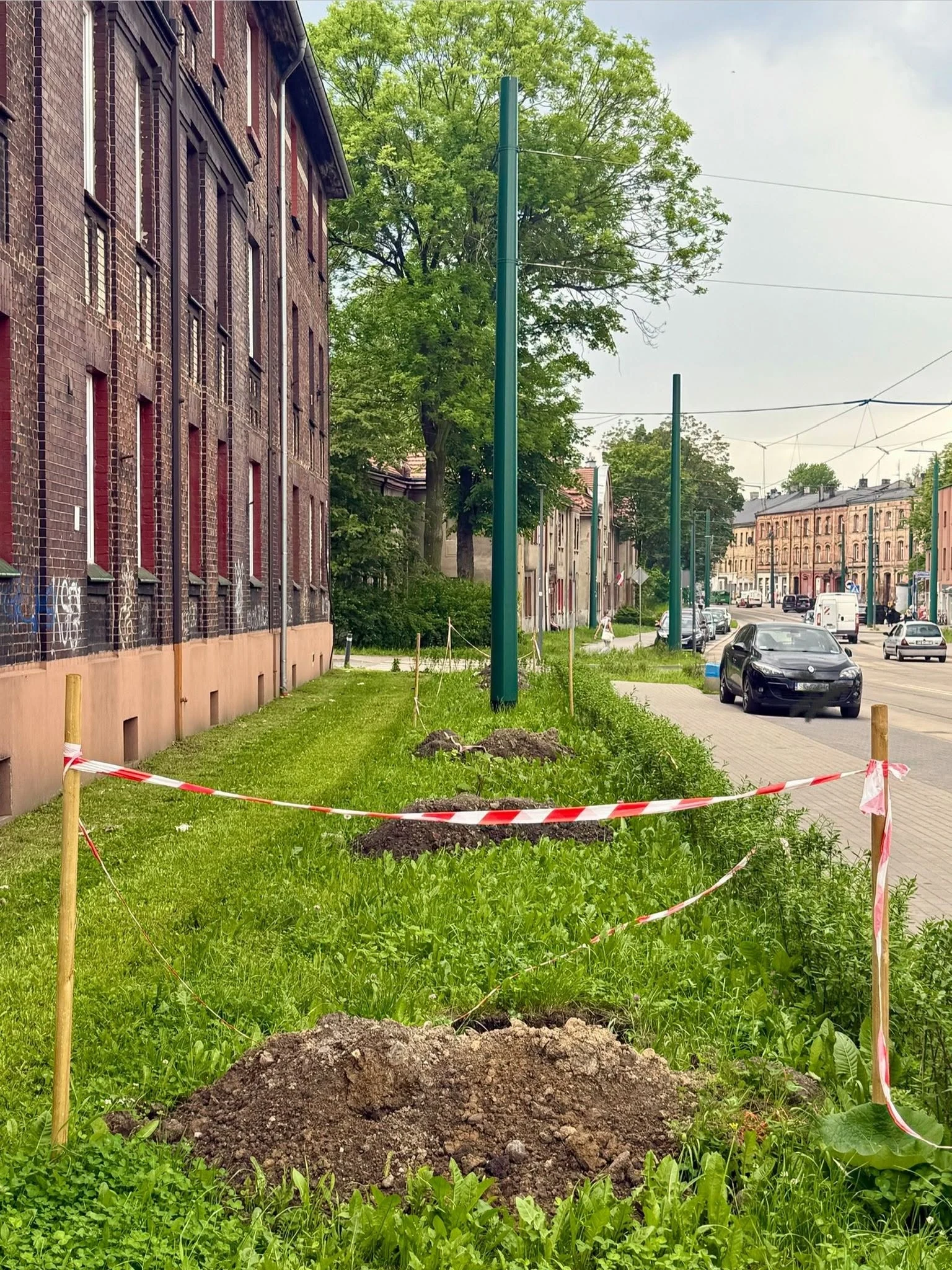 Świętochłowice będą bardziej zielone. Miasto posadzi 160 nowych drzew / fot. UM Świętochłowice