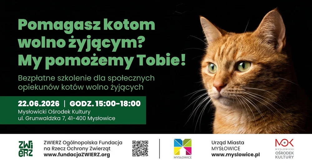 Pomagasz kotom wolno żyjącym? W Mysłowicach odbędzie się bezpłatne szkolenie