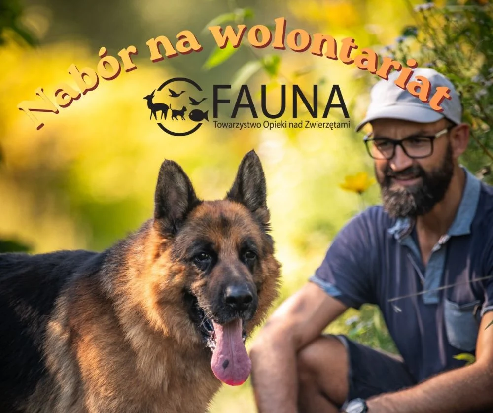 Schronisko „Fauna” ogłasza nabór na wolontariat