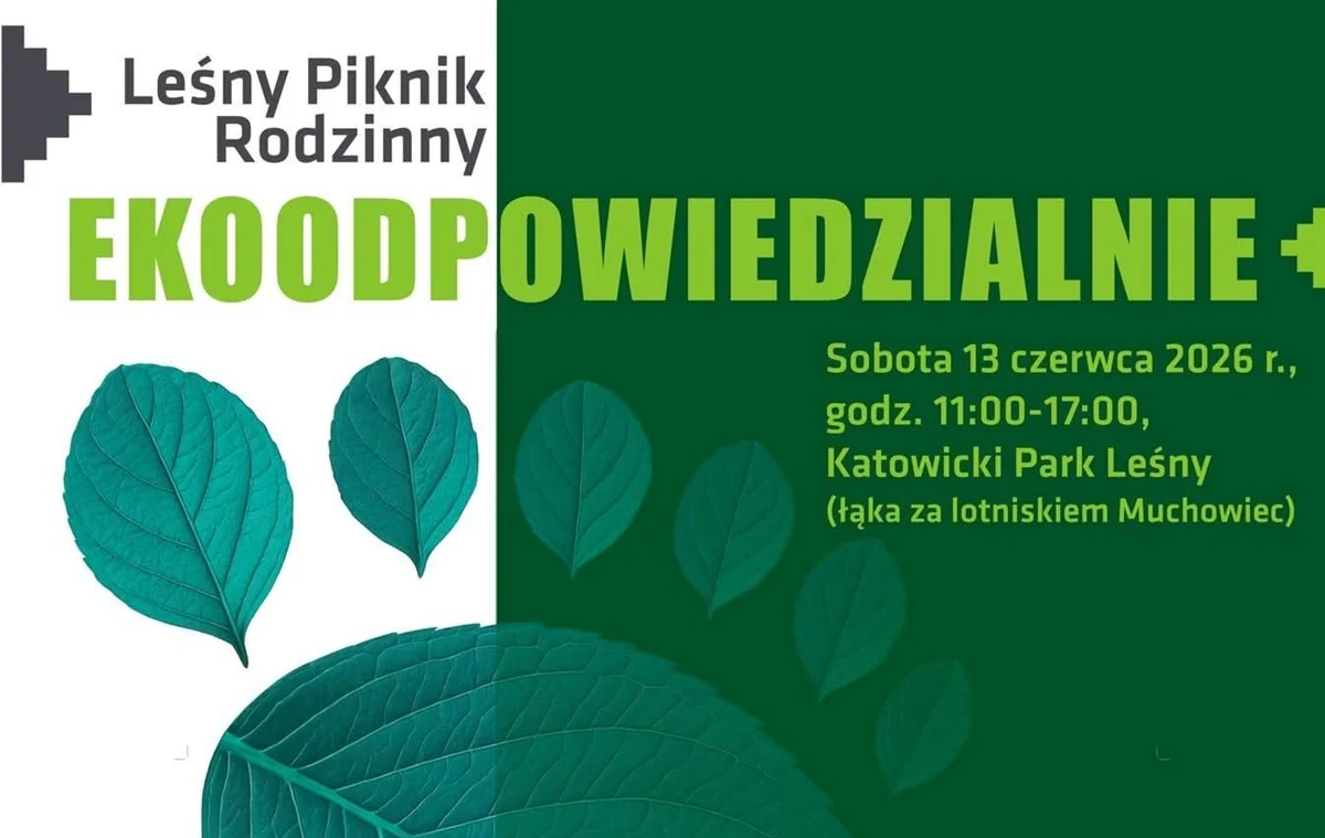 Ekologiczna sobota dla rodzin w Katowicach. Atrakcje w Parku Leśnym