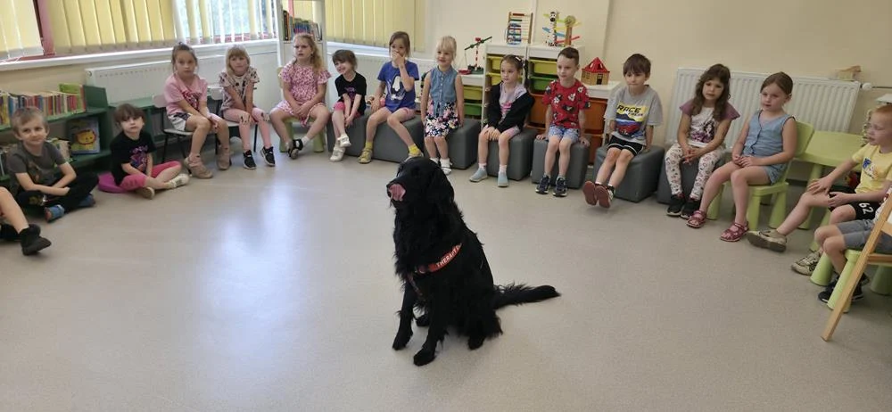 Dogoterapia w Filii nr 11. Dzieci z Przedszkola nr 12 spotkały się z Luną