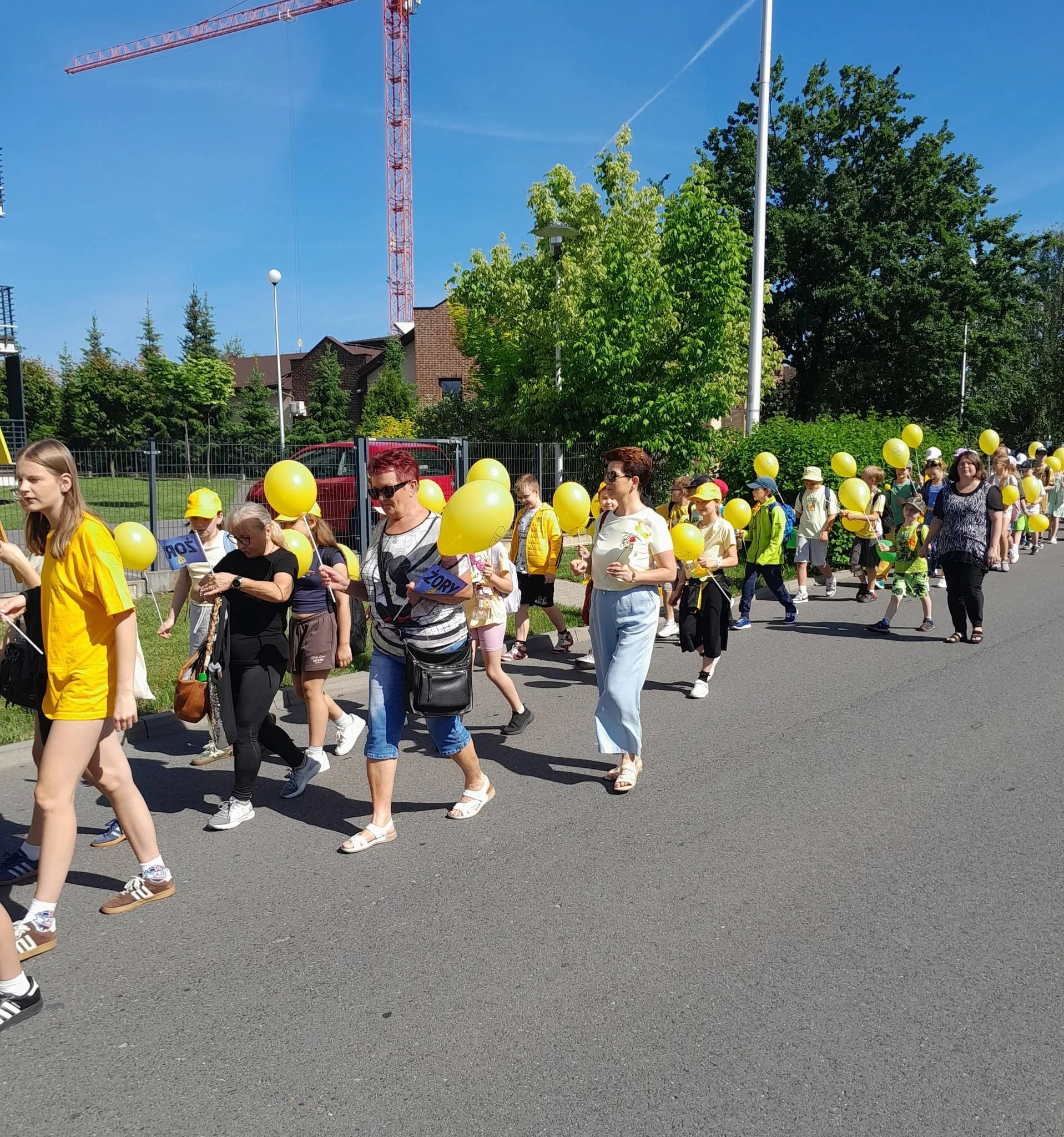 Żonkile, orkiestra i podziękowania. XXII Marsz Nadziei przeszedł przez Żory