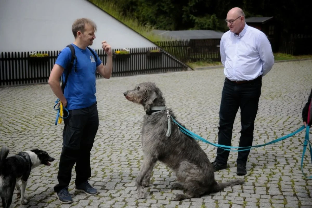 Spacer z psem i behawiorystą w chorzowskim skansenie. Muzeum zaprasza na wyjątkowe wydarzenie