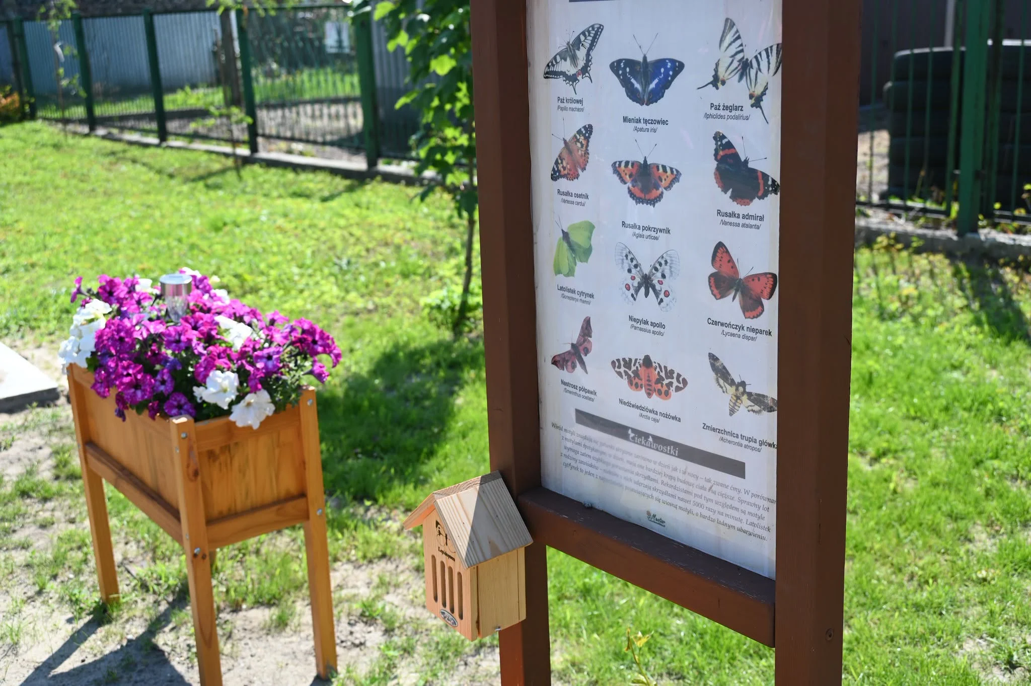 Zagroda Motyli w SP 11. Nowa ekopracownia / fot. UM Ruda Śląska