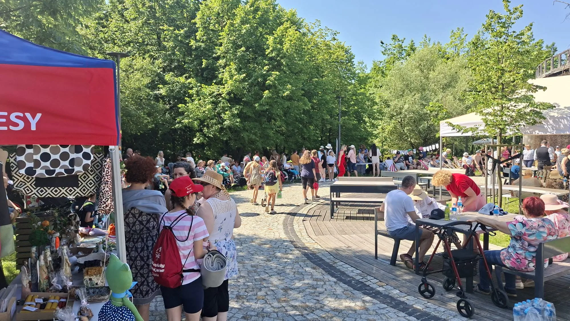 Piknik integracyjny przy Tężni w Żorach / fot. UM Żory