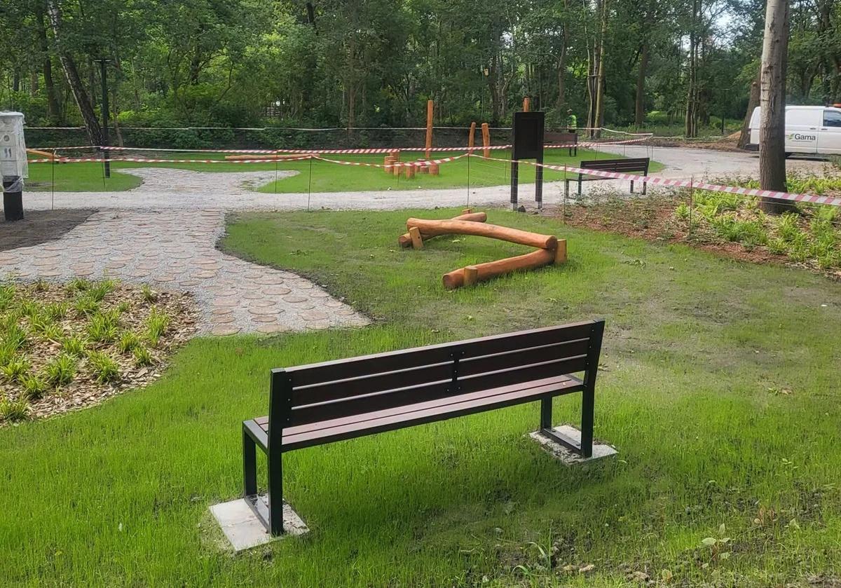 Zielona metamorfoza w Chorzowie. Inwestycja przy Łagiewnickiej postępuje