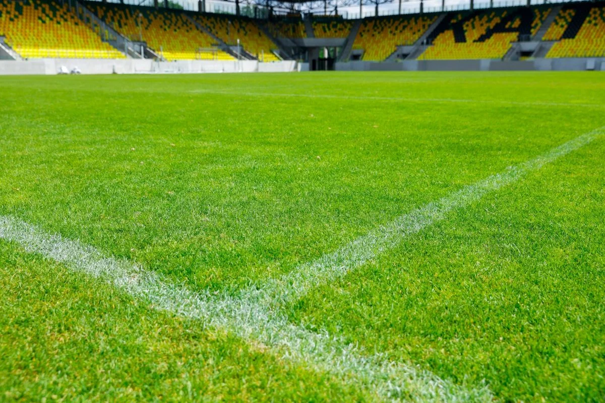 Nowa murawa na Arenie Katowice. Prace potrwają do połowy lipca