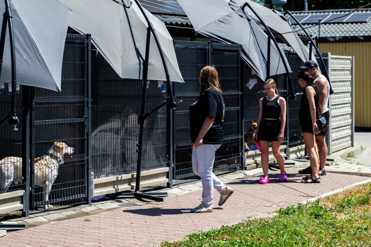 Dzień Otwarty schroniska w Bytomiu za nami. Mieszkańcy wsparli zwierzęta
