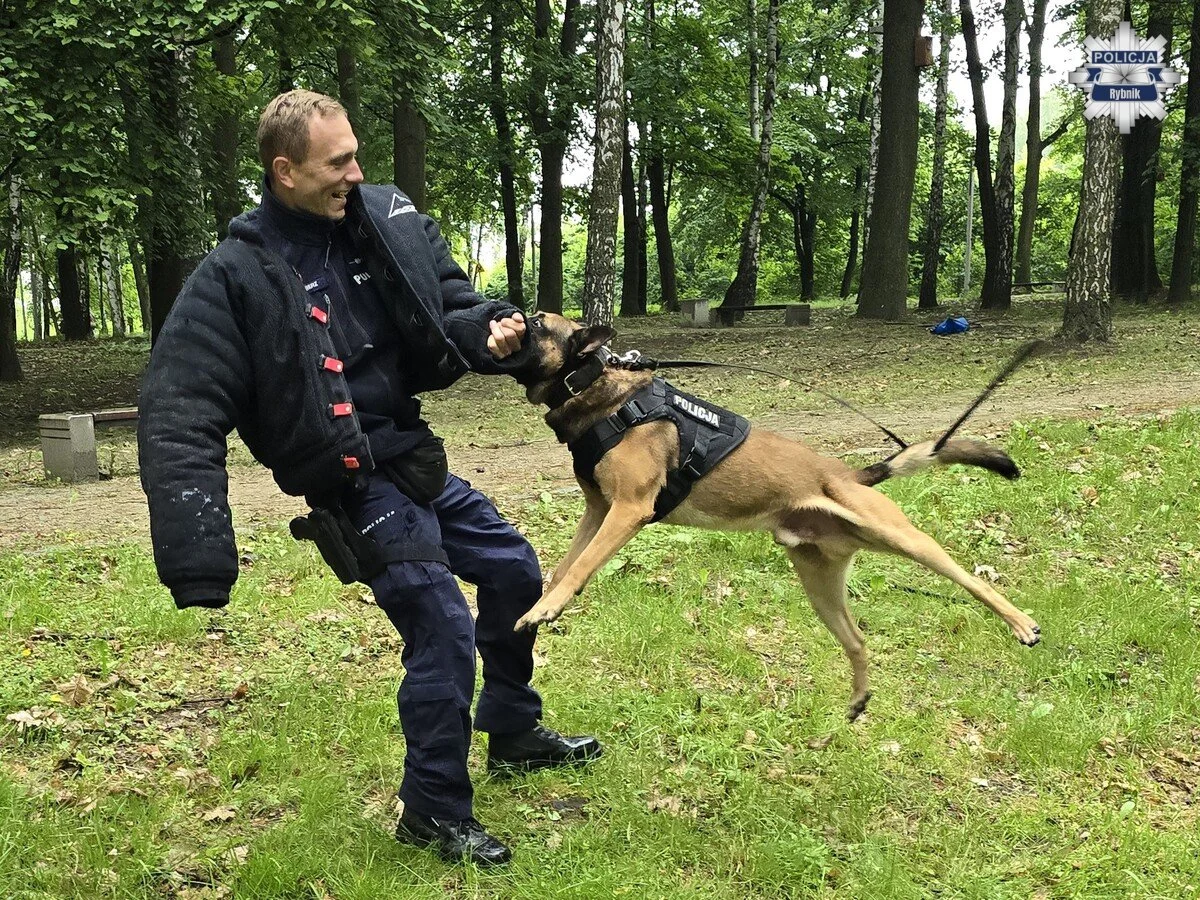 Dzieci poznały pracę policjantów. Rodzinny festyn w Czerwionce pełen atrakcji (15)