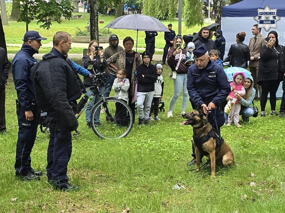 Dzieci poznały pracę policjantów. Rodzinny festyn w Czerwionce pełen atrakcji /fot. KMP Rybnik