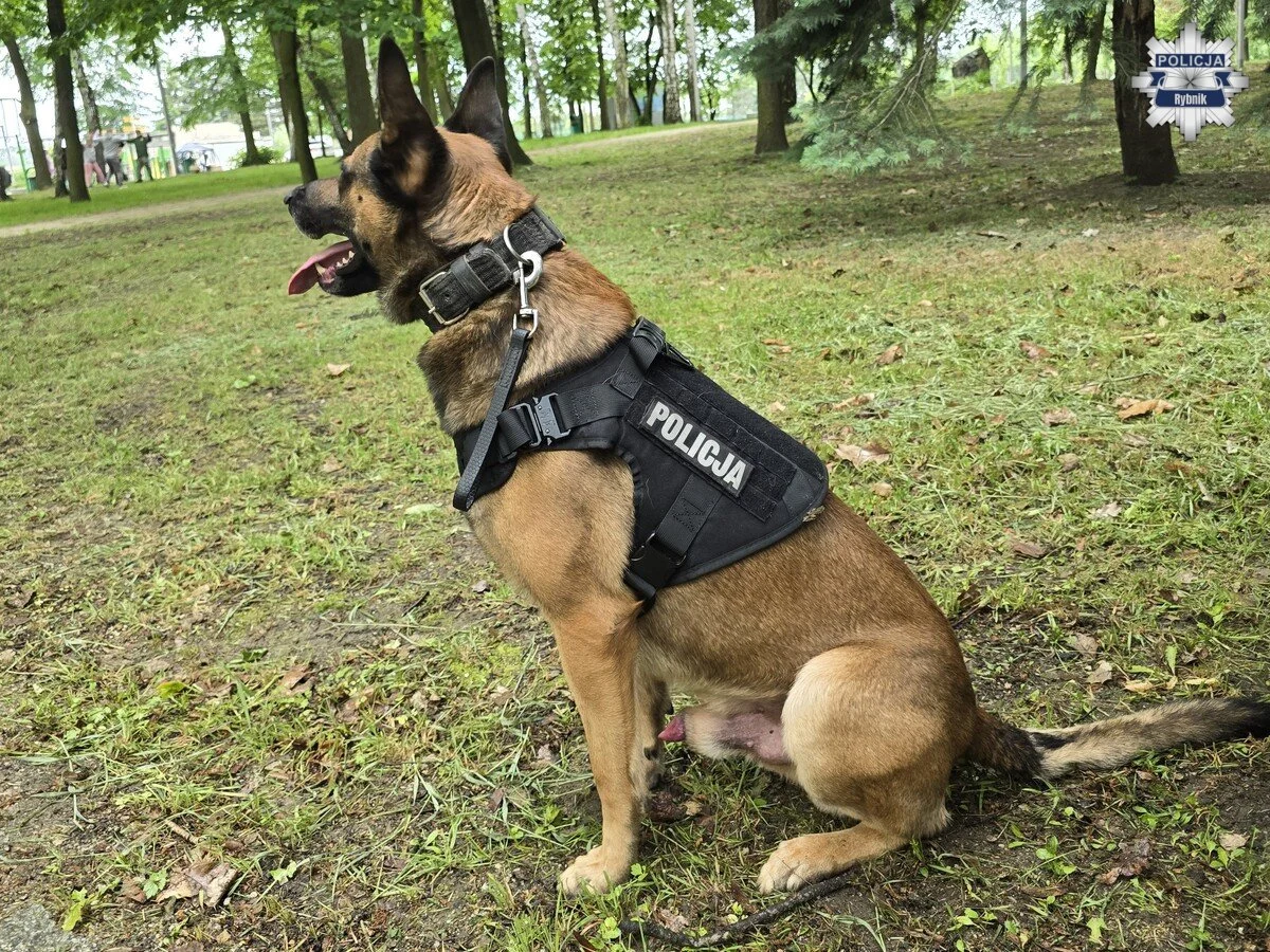 Dzieci poznały pracę policjantów. Rodzinny festyn w Czerwionce pełen atrakcji (9)