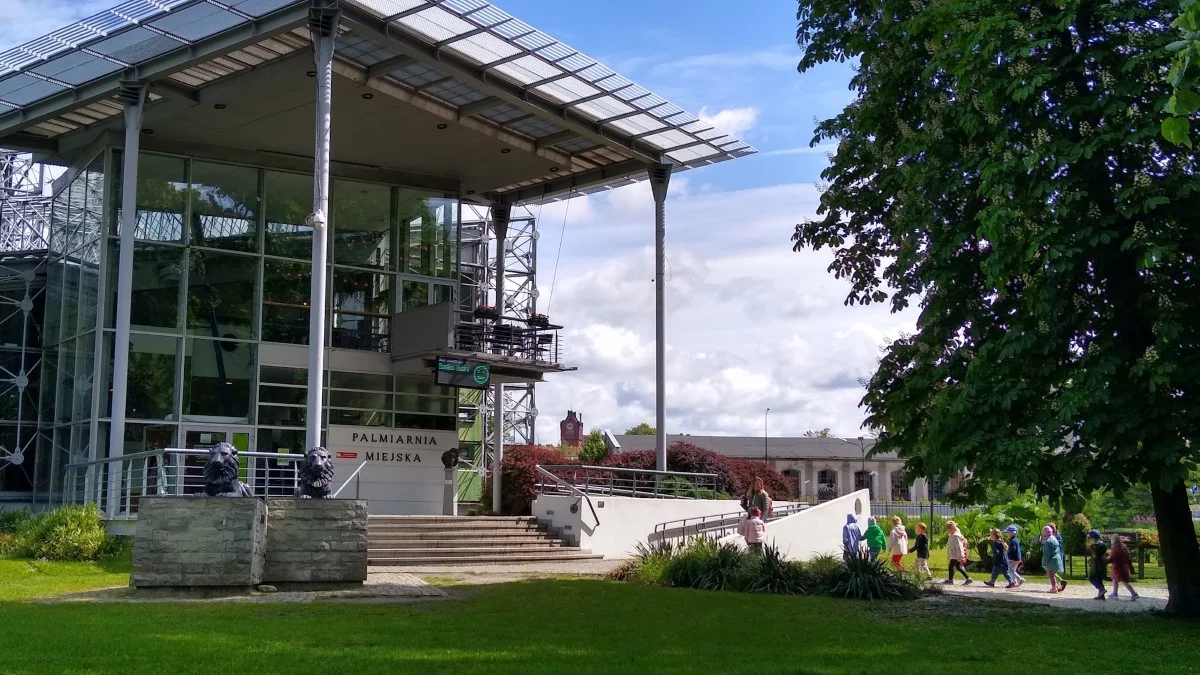 Przerwa technologiczna w Palmiarni Miejskiej. Szykują się duże zmiany