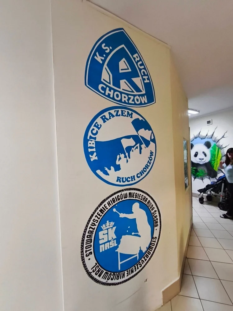 Członek Stowarzyszenia NRŚL ozdobił ściany OREW Chorzów. Powstało 13 malowideł / fot. NRSL