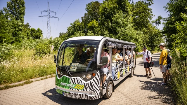 Mikulczyce, Makoszowy i dawna Kopalnia Ludwik. Zabrze odkrywali podczas Kierunku GZM