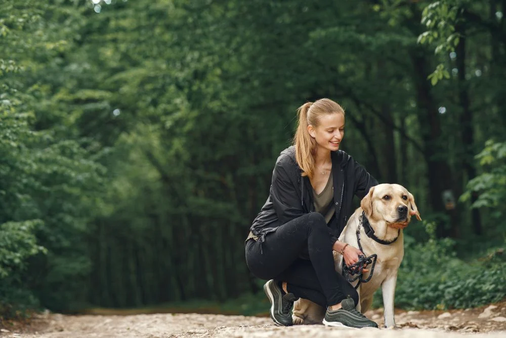 Psia Fiesta wraca na Balaton. Będzie dogtrekking i pomoc dla zwierząt