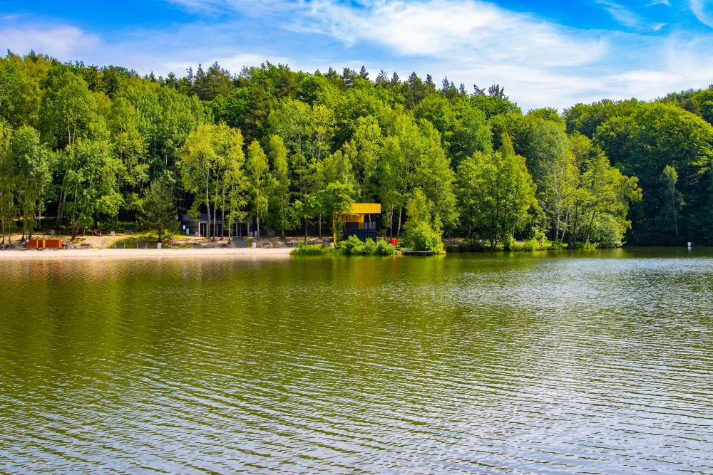 Weekend w Wodzisławiu Śląskim pełen atrakcji. Kino, jarmark i wydarzenia w plenerze