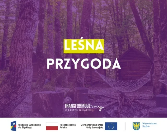 Leśna przygoda w Halembie – spacer i odpoczynek wśród drzew