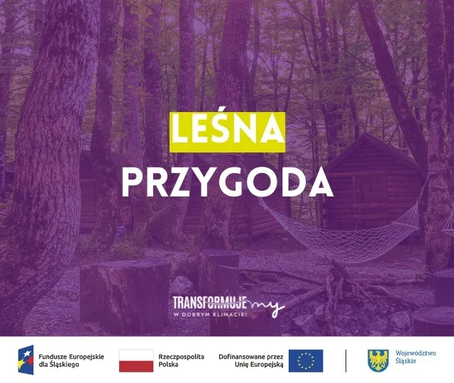 Leśna przygoda w Halembie – spacer i odpoczynek wśród drzew