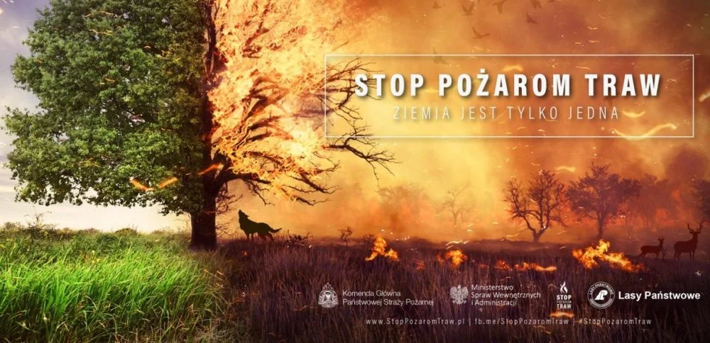 „Stop Pożarom Traw”. Kampania przypomina: ogień niszczy przyrodę i zagraża ludziom