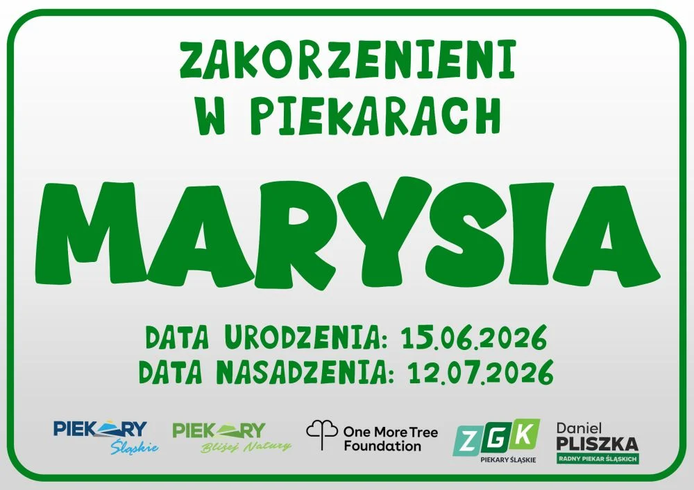 „Zakorzenieni w Piekarach”. Rodzice posadzą drzewa dla dzieci urodzonych w 2025 i 2026 roku