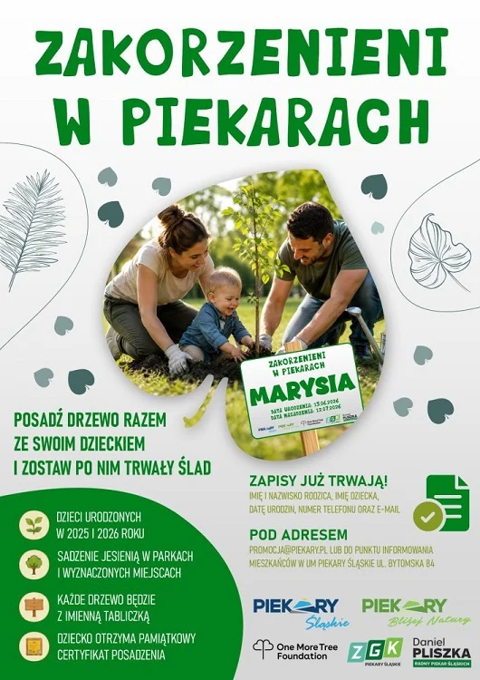 „Zakorzenieni w Piekarach”. Rodzice posadzą drzewa dla dzieci urodzonych w 2025 i 2026 roku / fot. UM Piekary Śląskie