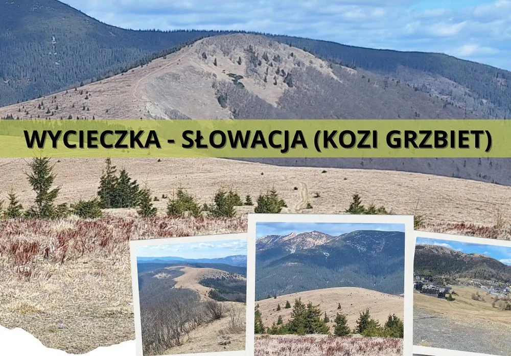 16 kilometrów i strome podejścia. MOK Orzesze zaprasza na górską wyprawę