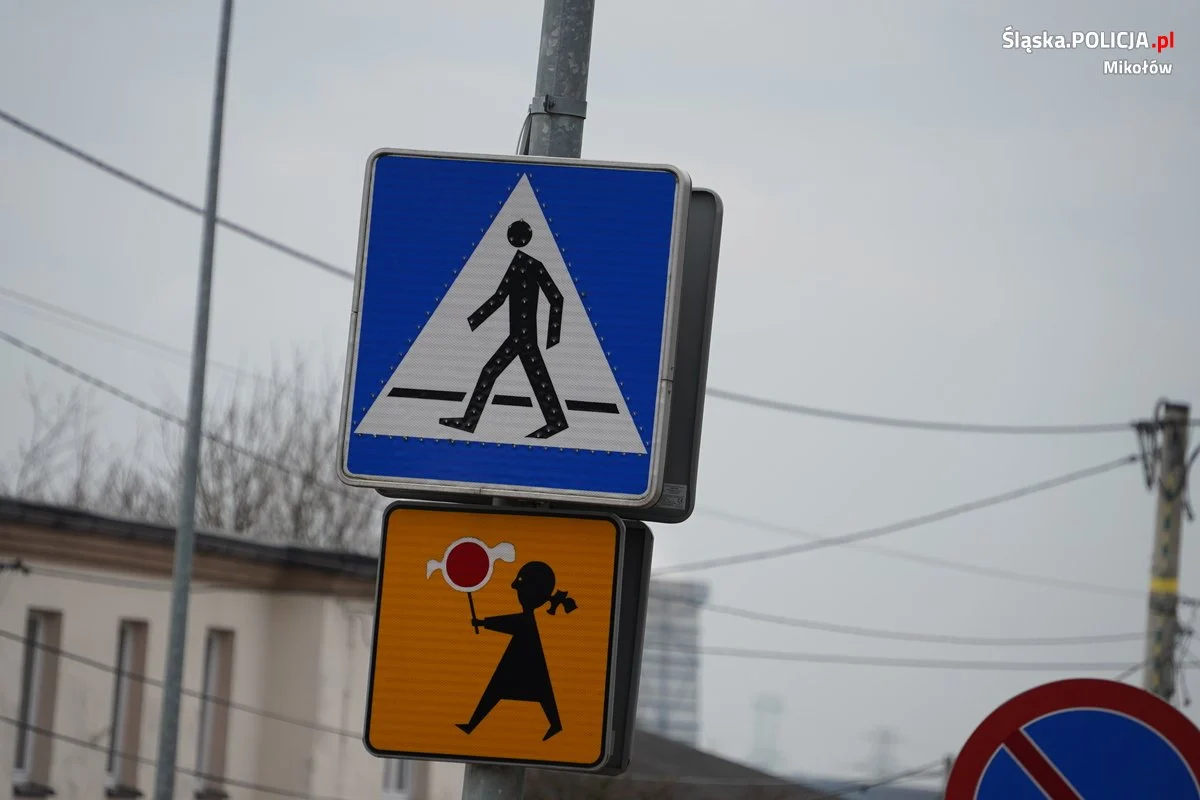 Dziś działania ruchu drogowego „Bezpieczny Pieszy”