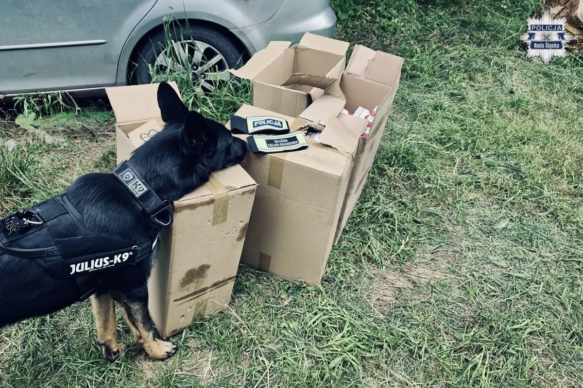 Ponad 1700 paczek papierosów, tytoń i alkohol. Policjanci uderzyli w nielegalny handel