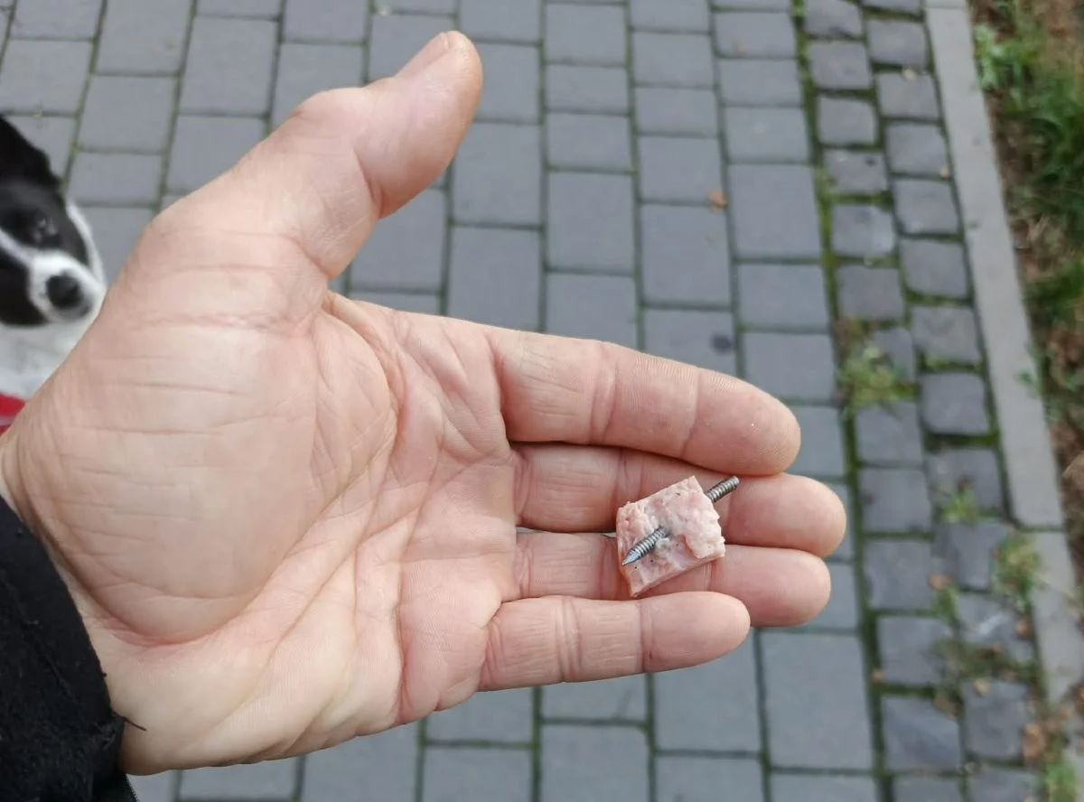 Uwaga, właściciele psów! Na Halembie znaleziono mięso z gwoździami