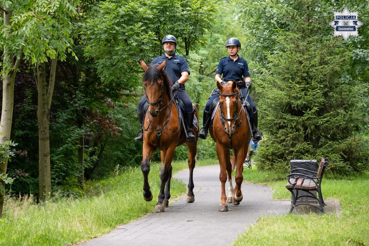 Patrol konny na Stawikach w Sosnowcu. Policjanci dbali o bezpieczeństwo / fot. KMP Sosnowiec