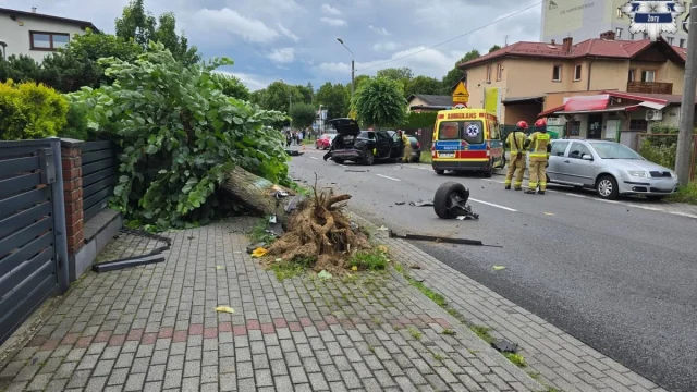 Wypadł z drogi w Żorach. Siła uderzenia wyrwała drzewo
