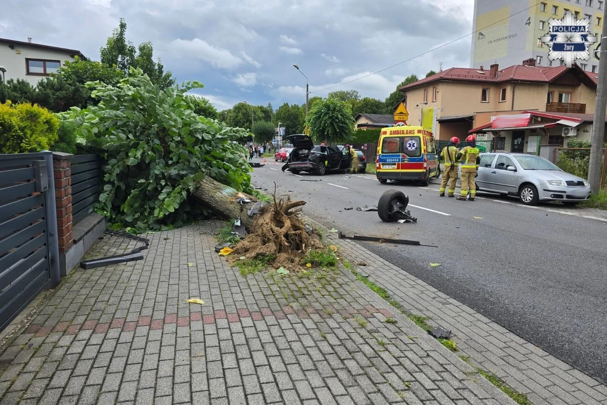 Wypadł z drogi w Żorach. Siła uderzenia wyrwała drzewo