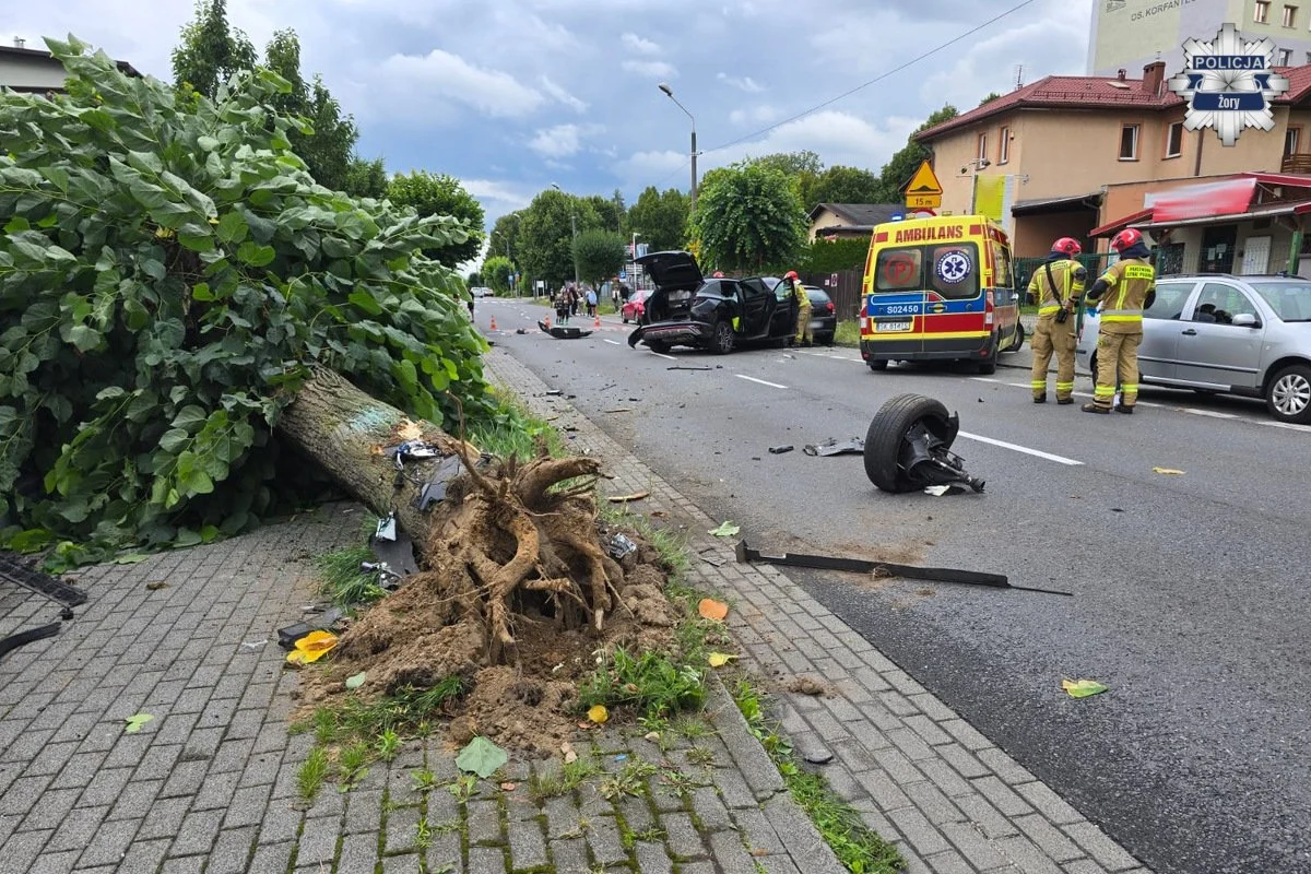54-latek wypadł z drogi na ul. Osińskiej. Samochód wyrwał drzewo / fot. KMP Żory