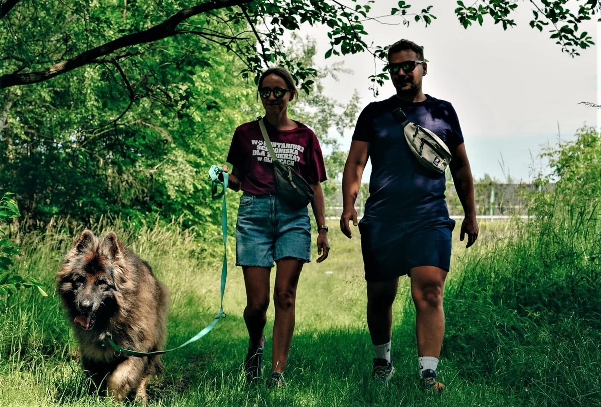 Poznaj psa, który czeka na dom. Przed nami kolejna edycja Biegu na 6 łap
