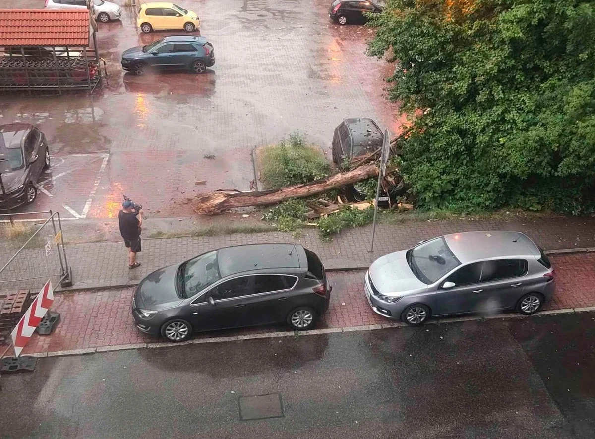 Ruda Śląska znów po ulewie. Zamknięte ulice, zalane posesje i powalone drzewa
