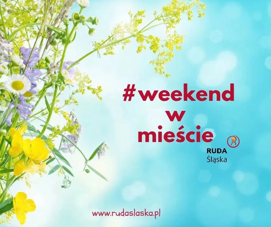 Joga na murawie, chleb przy Pierkaroku i koncerty. Tak zapowiada się weekend w Rudzie Śląskiej!