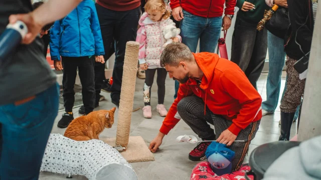 Urodziny Psitula w Zabrzu. Schronisko zebrało ponad 4800 zł i przypomina, jak adoptować zwierzaka