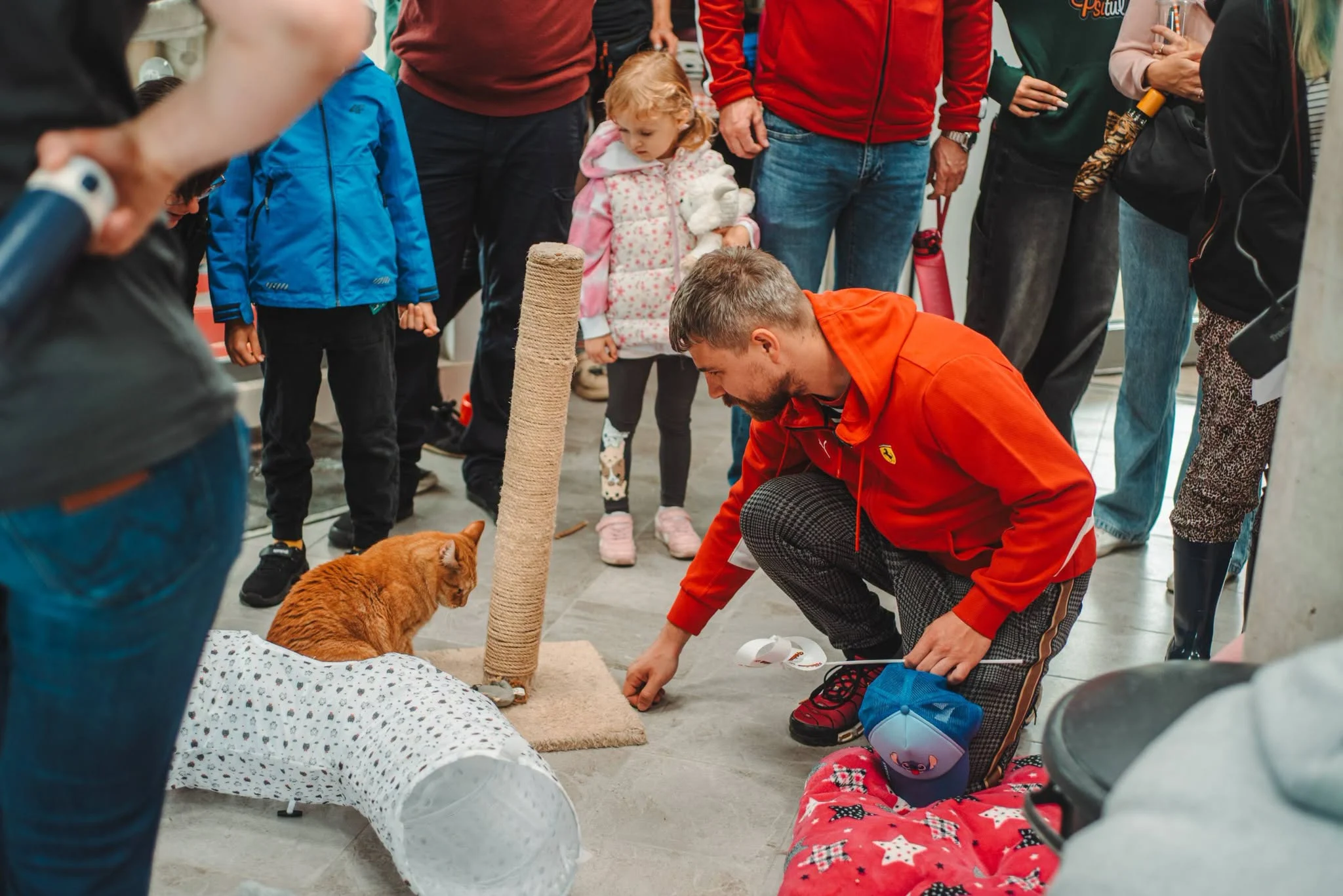 Urodziny Psitula w Zabrzu. Schronisko zebrało ponad 4800 zł i przypomina, jak adoptować zwierzaka
