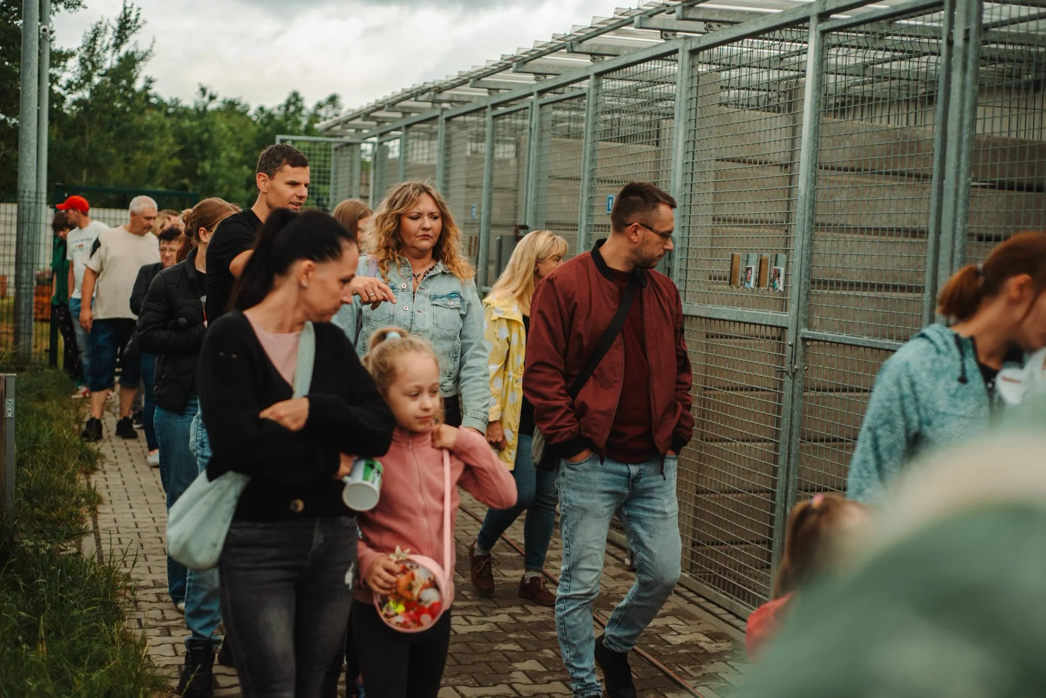 Urodziny Psitula w Zabrzu / fot. Psitul Mnie FB