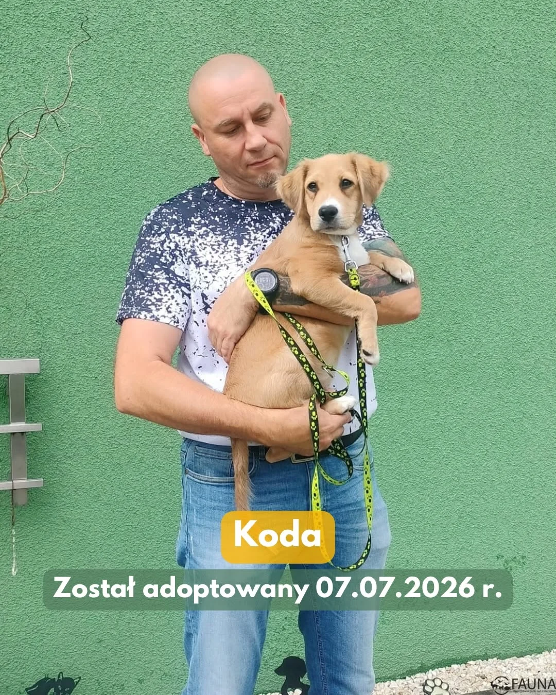 Dziesięć zwierząt z rudzkiej „Fauny” znalazło nowe domy / fot. TOZ Fauna