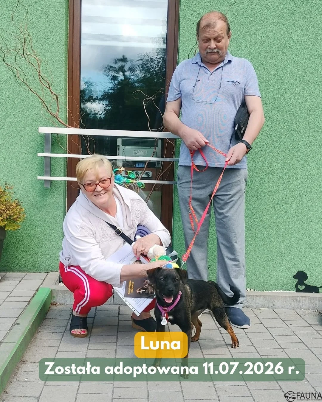 Dziesięć zwierząt z rudzkiej „Fauny” znalazło nowe domy / fot. TOZ Fauna